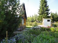 Лот: 8173926. Фото: 3. Дача СНК "КЕДР 2" Крючково. Недвижимость