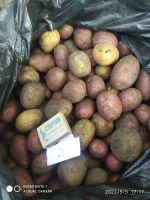 Лот: 19003699. Фото: 2. Картофель мелкий 2. Продукты