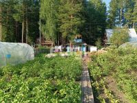 Лот: 25294434. Фото: 7. 3-комн. дача , СНТ Солнечная Поляна...