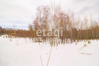 Лот: 25294810. Фото: 7. участок , ДНТ Чёрная Сопка ДНТ...