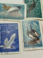 Лот: 19674138. Фото: 2. Марки СССР 1972 г. Фауна морей... Коллекционирование, моделизм