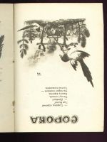Лот: 9283578. Фото: 5. Ладушки. Русские народные песенки...