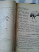 Лот: 15775882. Фото: 3. Систематика птиц. Карташев Н.Н... Литература, книги