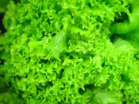 Лот: 7823731. Фото: 2. Зелень салата, салат ривезу в... Продукты