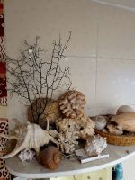 Лот: 20006244. Фото: 3. Набор для декора аквариума. Растения и животные