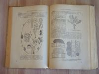 Лот: 21770571. Фото: 3. книга учебник ботаника растения... Литература, книги