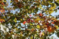Лот: 12781233. Фото: 6. Canon 600D kit Canon 28-90mm