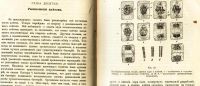 Лот: 17970076. Фото: 12. В.Палладин . Курс ботаники.* 1900...