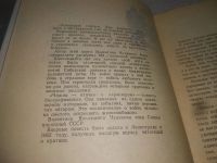 Лот: 25188658. Фото: 3. оз...вб...(4092331) Чижик - птичка... Красноярск