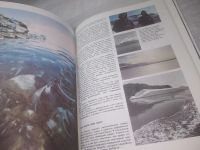 Лот: 25722085. Фото: 5. ВбР(00-36)Почивалов Л. Белые сны...