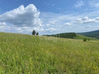 Лот: 25295888. Фото: 13. участок , СНТ Восточное СНТ Восточное...