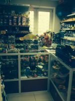 Лот: 4866564. Фото: 2. Продам зоомагазин. Готовый бизнес