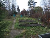 Лот: 11027026. Фото: 4. Дачный участок СНТ "Благодатное... Красноярск