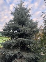 Лот: 25383751. Фото: 14. 5-комн. и более дом , Красноярск...