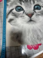 Лот: 18297893. Фото: 2. Сумка шоппер. Аксессуары