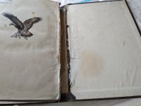 Лот: 18440510. Фото: 14. Доппельмаир Г.Г., Мальчевский...