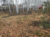 Лот: 10435608. Фото: 2. Продам дачный участок на Овинном. Продажа