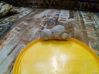 Лот: 10580260. Фото: 5. Скифы