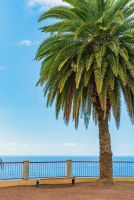 Лот: 21164167. Фото: 2. 🔥🌴Скидки!!! Сочи Красная поляна... Туризм