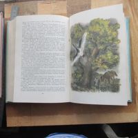 Лот: 21009816. Фото: 7. Книга сборник Карим; Сотник; Рыбаков...