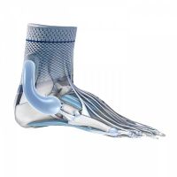 Лот: 10560154. Фото: 3. MalleoTrain® (МалеоТрейн) - активный... Красота и здоровье