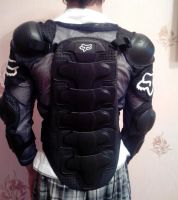 Лот: 3305983. Фото: 5. Защита, черепаха, панцырь