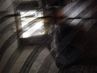 Лот: 5348959. Фото: 3. Шторы готовые. Домашний быт