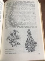 Лот: 22376025. Фото: 5. Цветоводство, семеноводство.