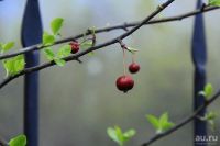 Лот: 9785953. Фото: 7. Canon 550D + гелиос 44