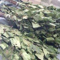 Лот: 8940597. Фото: 3. Веники берёзовые (продажа только... Красноярск