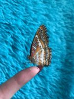 Лот: 12203725. Фото: 4. Дари эмоции. БаБоЧкА. Тропическая... Красноярск