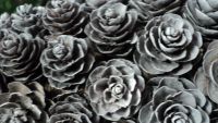 Лот: 8570951. Фото: 6. Елочка из шишек