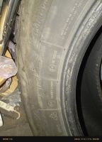 Лот: 24697865. Фото: 4. bridgestone dm-v2. Красноярск