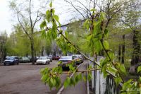 Лот: 9614906. Фото: 5. Canon EF-S 18-200mm f/3.5-5.6...