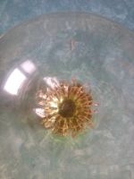 Лот: 15429614. Фото: 5. шикарная ваза конфетница из СССР