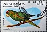 Лот: 12952945. Фото: 6. Марки Фауна. Никарагуа. Птицы...