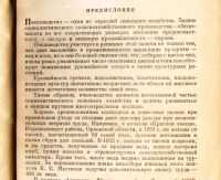 Лот: 19855257. Фото: 3. Ковалев А.М. Уход за пчелами... Коллекционирование, моделизм