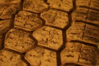 Лот: 10382652. Фото: 2. Покрышка Falken 195 r14 LT. Шины, Диски