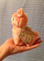 Лот: 7016371. Фото: 3. Маленькие японские альпаки Alpacasso. Дети растут