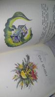 Лот: 11316862. Фото: 5. Храбрые братья, Книжка об опасных...