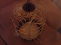 Лот: 3134614. Фото: 3. Хорошая клетка для попугая. Растения и животные