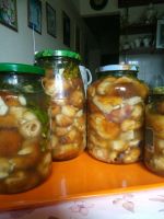 Лот: 16336390. Фото: 2. Грибы соленые . Продукты