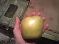 Лот: 8796267. Фото: 2. Яблоки. Продукты