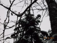 Лот: 8729219. Фото: 2. Охотничий участок. Охота
