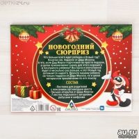 Лот: 12245532. Фото: 4. 🎄 Игра-квест по поиску подарка... Красноярск