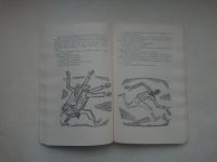 Лот: 24981165. Фото: 4. Премчанд. Ратный путь. Рассказы...