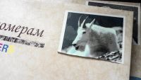 Лот: 5240905. Фото: 2. Рисование по номерам. Ручная работа