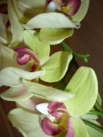 Лот: 1963709. Фото: 3. цветочная композиция "Орхидея". Домашний быт