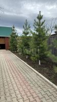 Лот: 25363786. Фото: 7. 2-комн. дом , село Маловка Школьная...