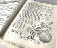 Лот: 16397538. Фото: 5. 📘 Н. Носов. Приключения Незнайки...